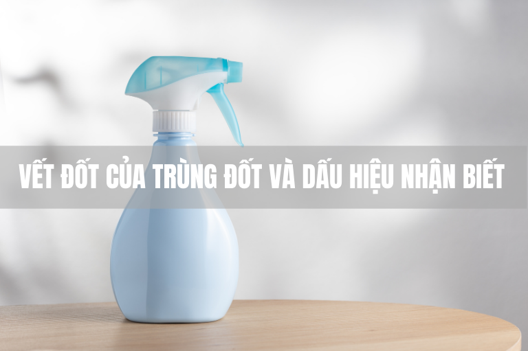 VẾT ĐỐT CỦA TRÙNG ĐỐT VÀ DẤU HIỆU NHẬN BIẾT